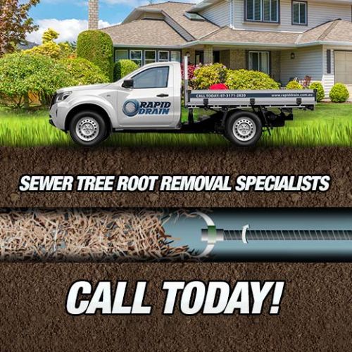 Sewer Tree Root Removal Specialists In Bulwer