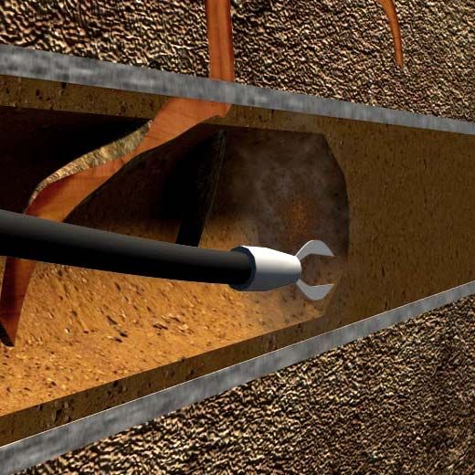 Tree Root Removal Specialists